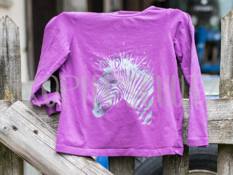 Plott-Zebra-6